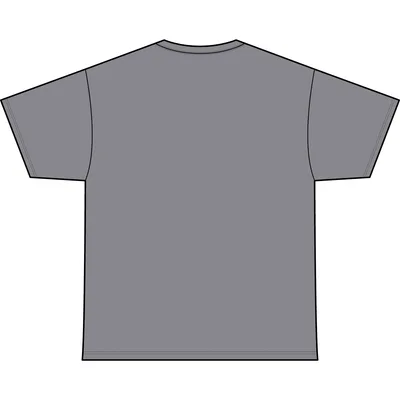 Men's Staple Stone Wash Tee in Ash Stone