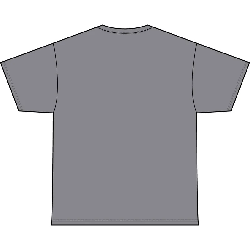 Men's Staple Stone Wash Tee in Ash Stone