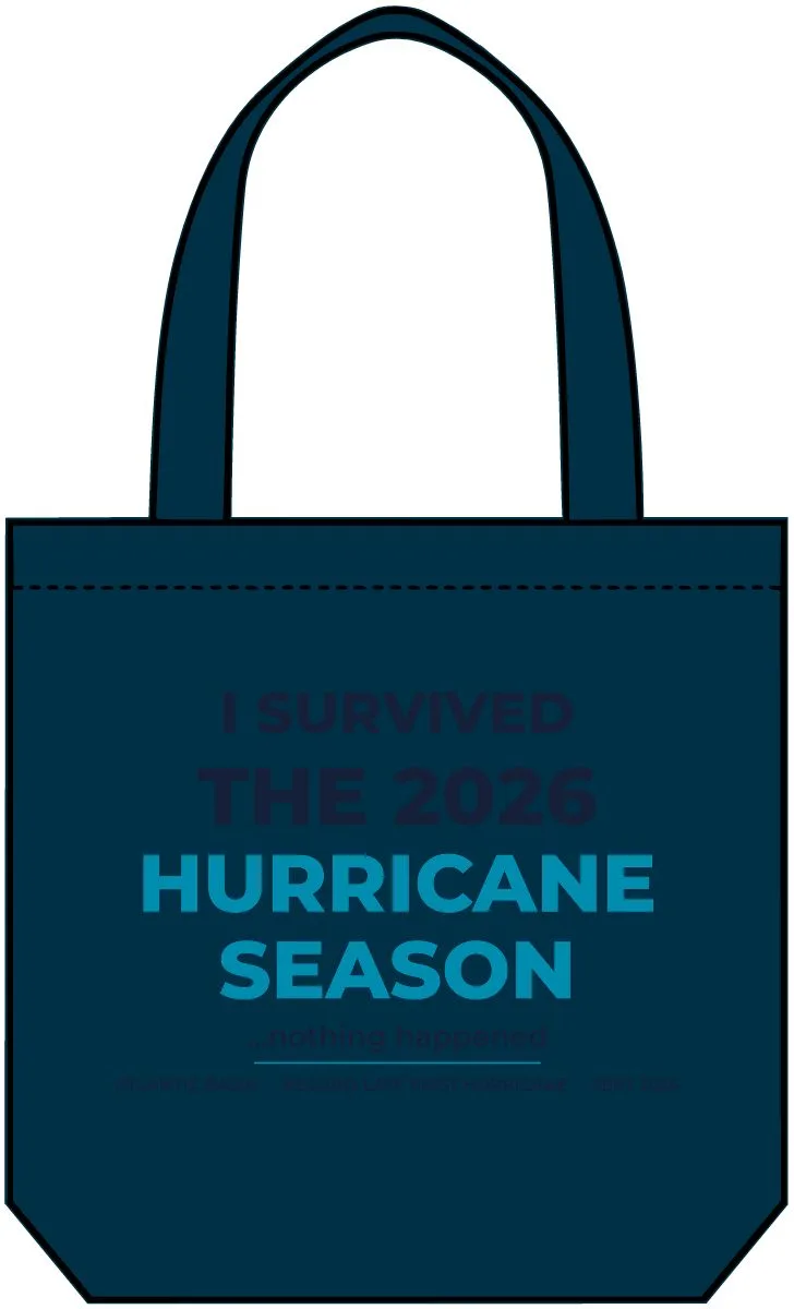 Carrie Denim Tote in Indigo
