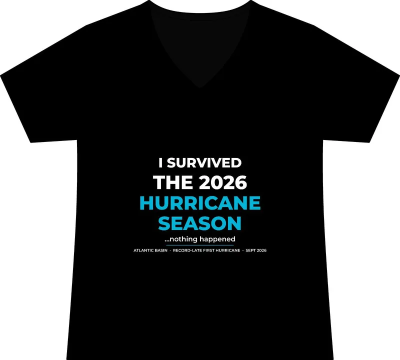 Women's Fine Jersey V-Neck Tee in Black