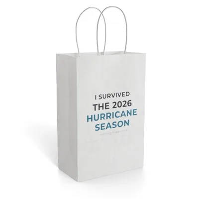 Paper Gift Bag in Kraft