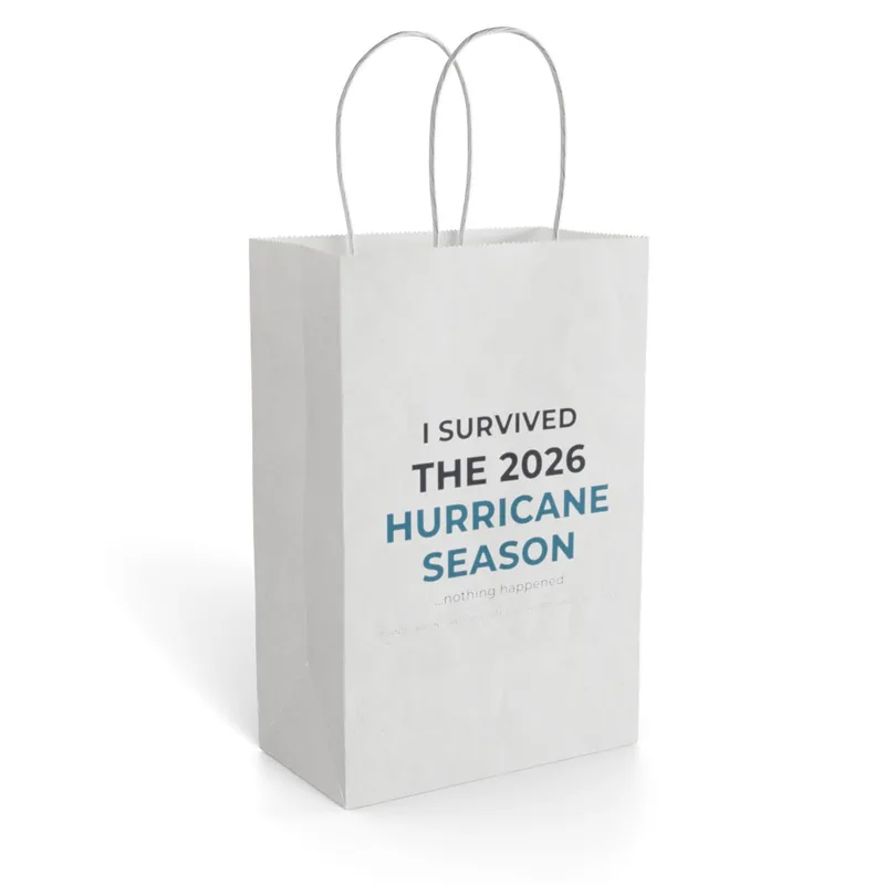 Paper Gift Bag in Kraft