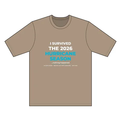 Workwear Pro Short Sleeve Tee in Silver Tan