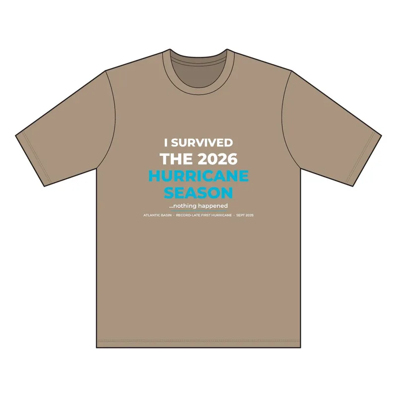 Workwear Pro Short Sleeve Tee in Silver Tan