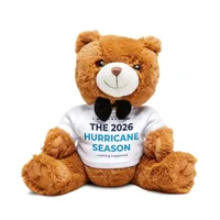 Teddy Bear with T-Shirt — White · One size