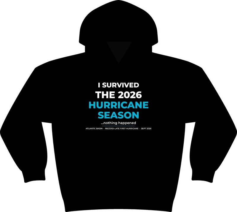 Unisex Premium Heavyweight Hooded Sweatshirt in Black