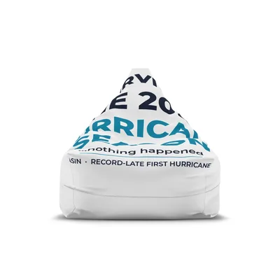 Bean Bag Chair Cover