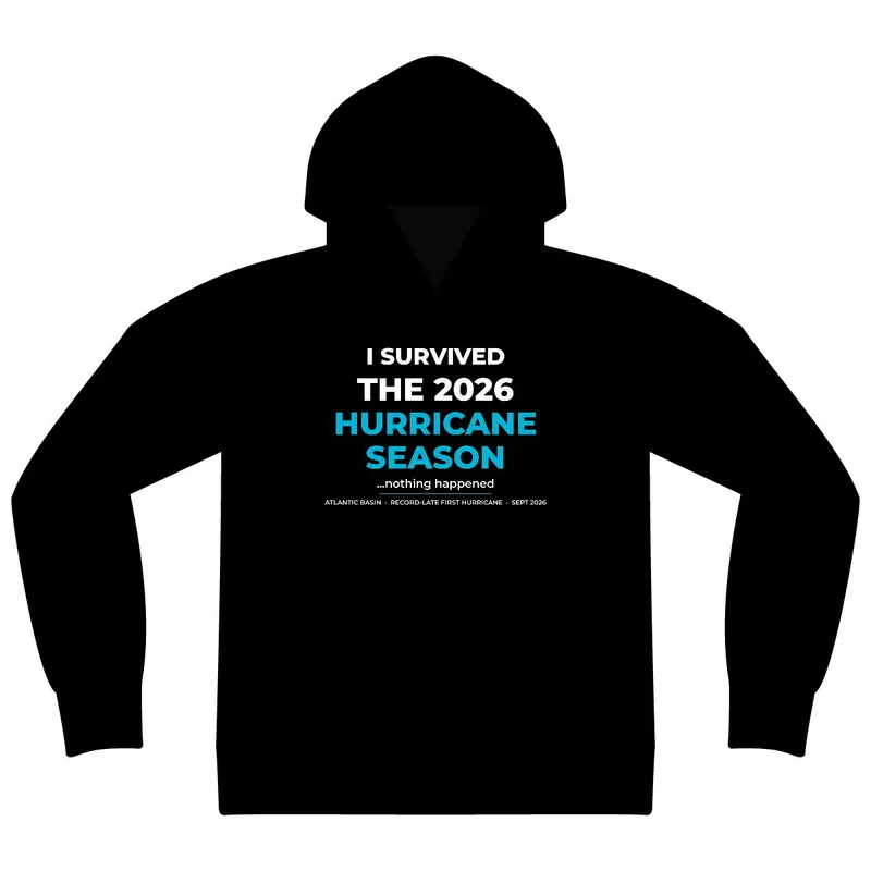 Unisex Sponge Fleece Drop Shoulder Hoodie Sweatshirt in Black