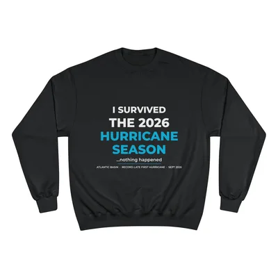 Champion Sweatshirt in Black