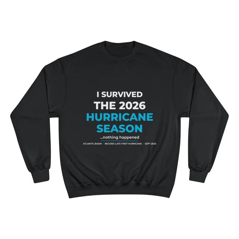 Champion Sweatshirt in Black