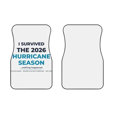 Car Mats (2x Front)