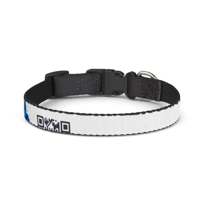 Clip-on Pet Collar