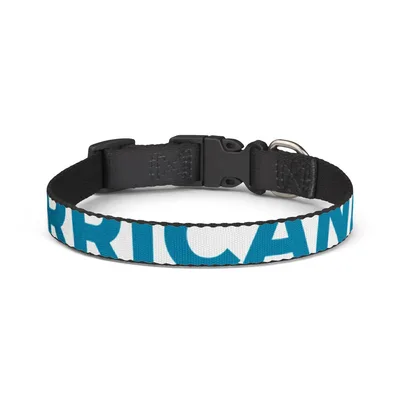 Clip-on Pet Collar