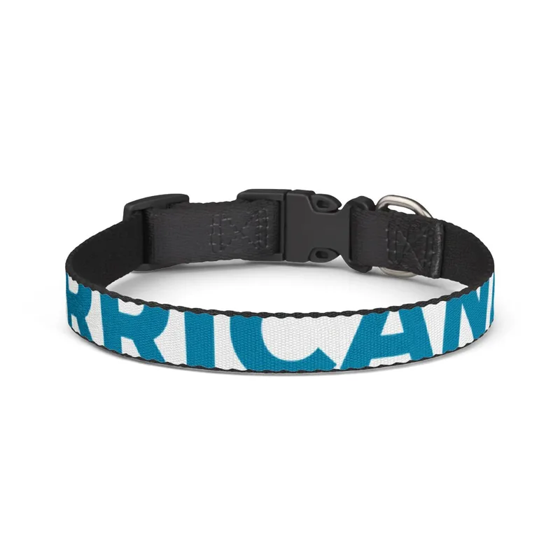 Clip-on Pet Collar