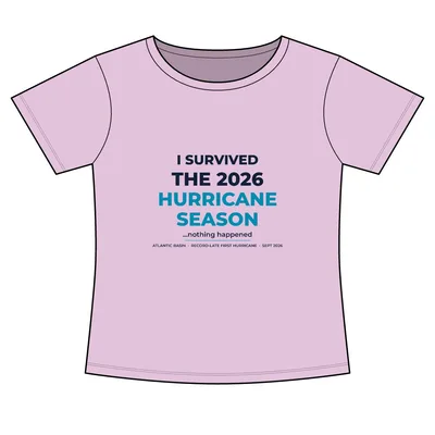 Women's Slim Fit Cotton Polyester T-Shirt in Lilac