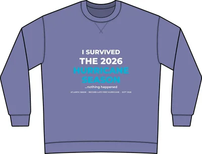 Garment-Dyed Crewneck Sweatshirt in Amethyst