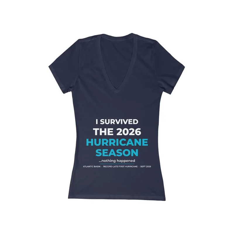 Women's Jersey Short Sleeve Deep V-Neck Tee in Navy