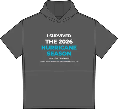 Men's Hoodie in Iron Grey