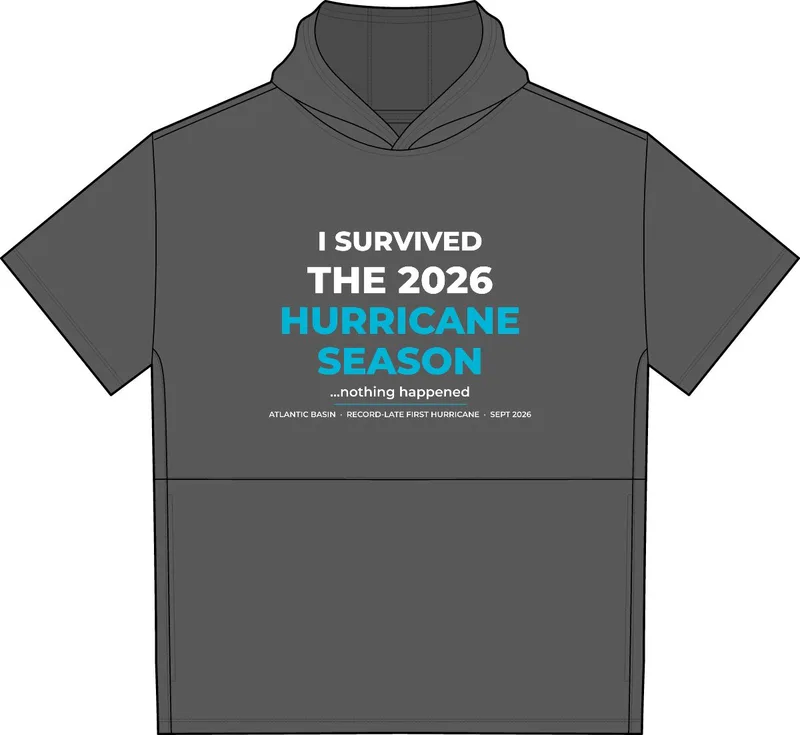 Men's Hoodie in Iron Grey