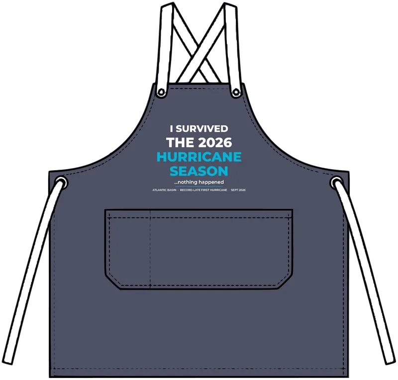 Denim Apron in Denim