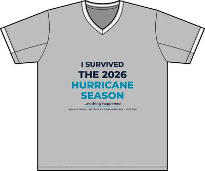 Men's Polyester V-Neck T-Shirt in Silver