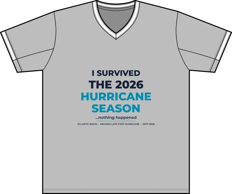 Men's Polyester V-Neck T-Shirt in Silver