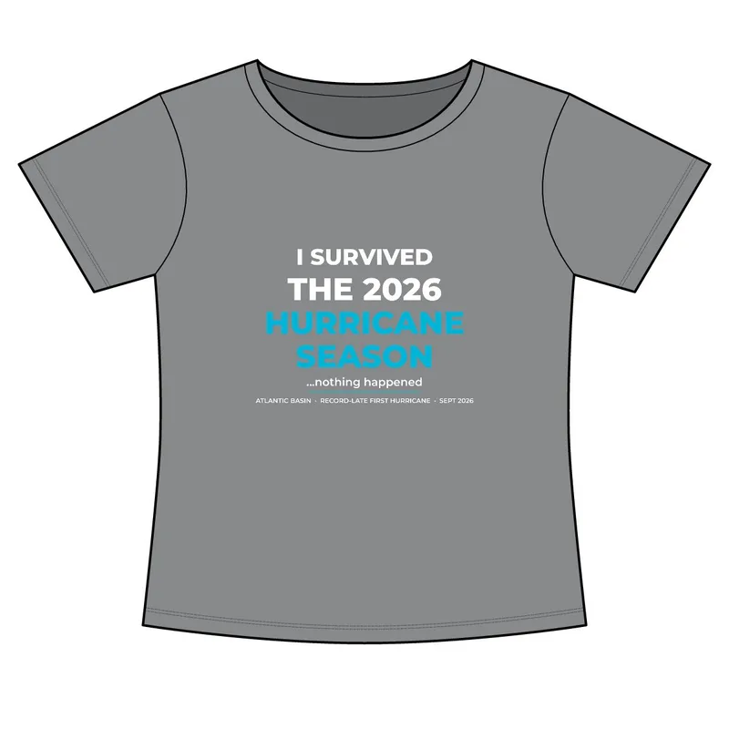 Women's Relaxed Tri-Blend Scoop Neck Tee in Aluminum Grey