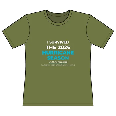 Women's Basic Tee in Army