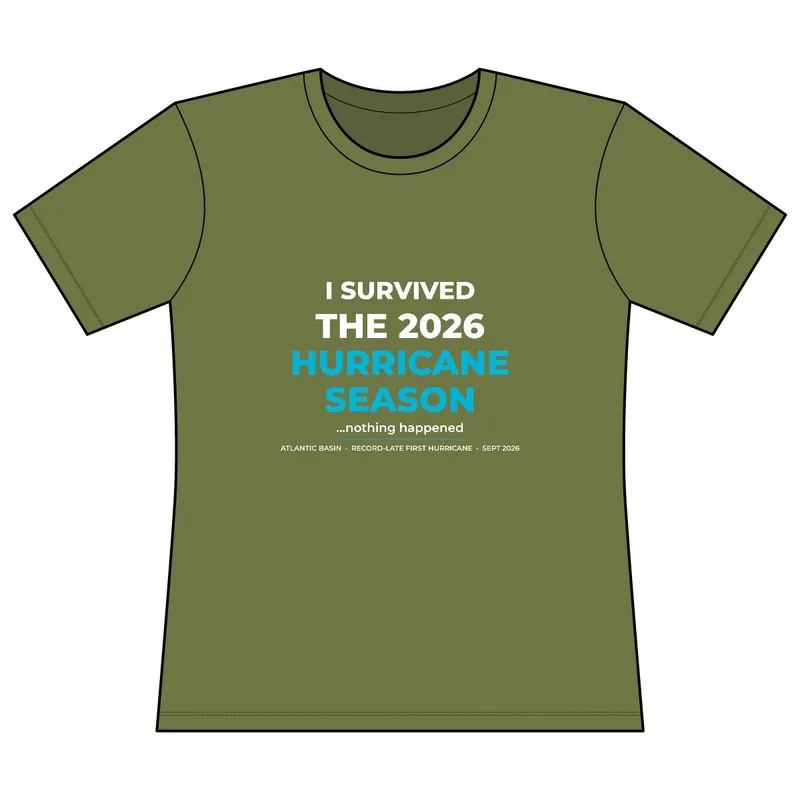 Women's Basic Tee in Army