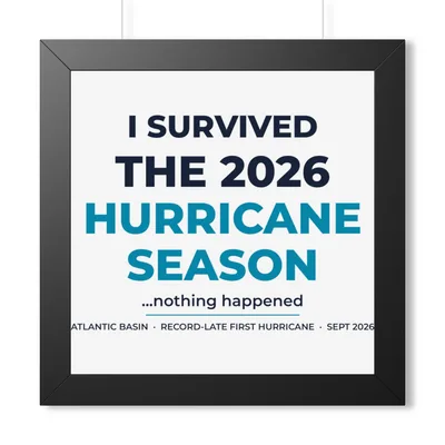 Framed Horizontal Poster in Black