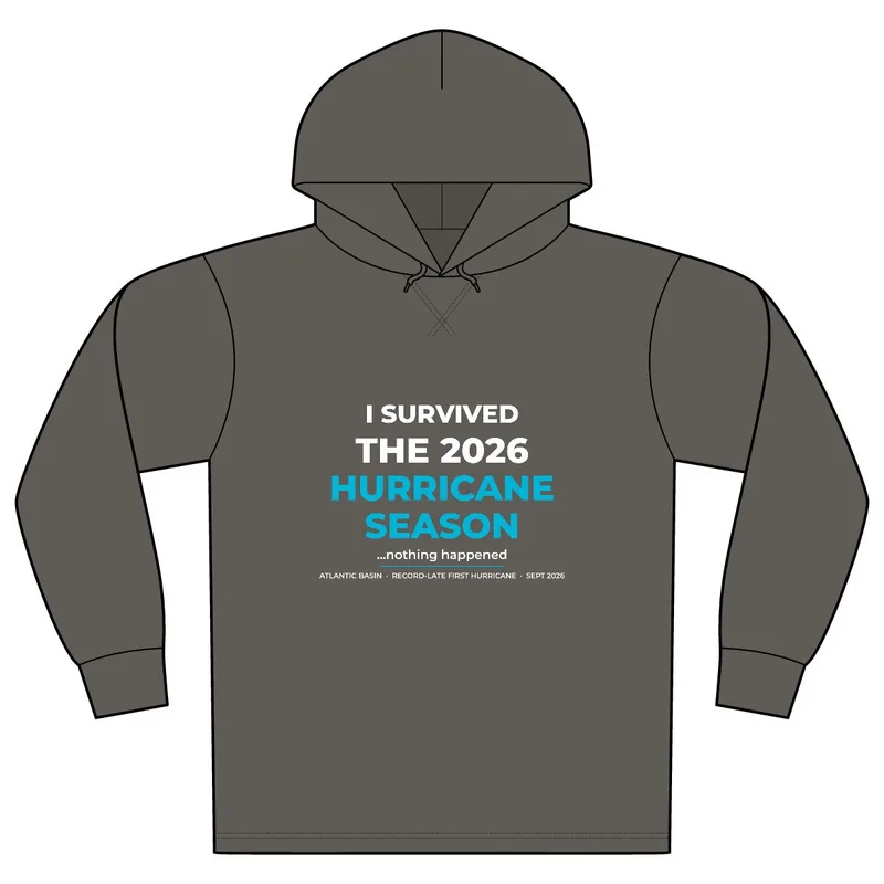 Unisex Mineral Dye Organic Cotton Hoodie Tee in Driftwood Grey