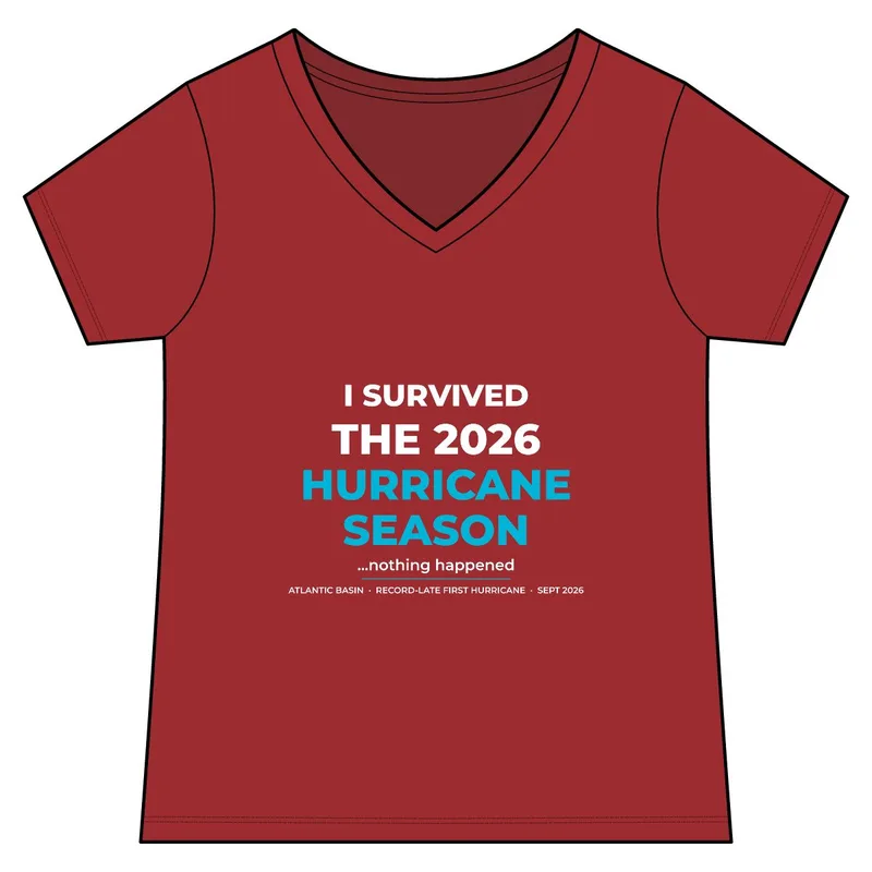 Women's Recycled Blend V-Neck Tee in Reclaimed Red Heather